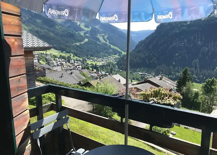 4 Pers, Ski, Balcon Sud/ouest, Parking, Netflix/wifi, Animaux Admis - Fr-1-676-122 公寓 沙泰勒