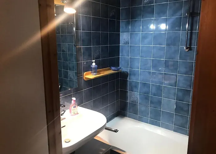 4 Pers, Ski, Balcon Sud/ouest, Parking, Netflix/wifi, Animaux Admis - Fr-1-676-122 * 沙泰勒