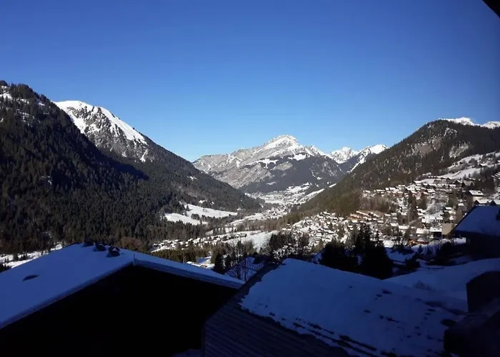 4 Pers, Ski, Balcon Sud/ouest, Parking, Netflix/wifi, Animaux Admis - Fr-1-676-122 沙泰勒
